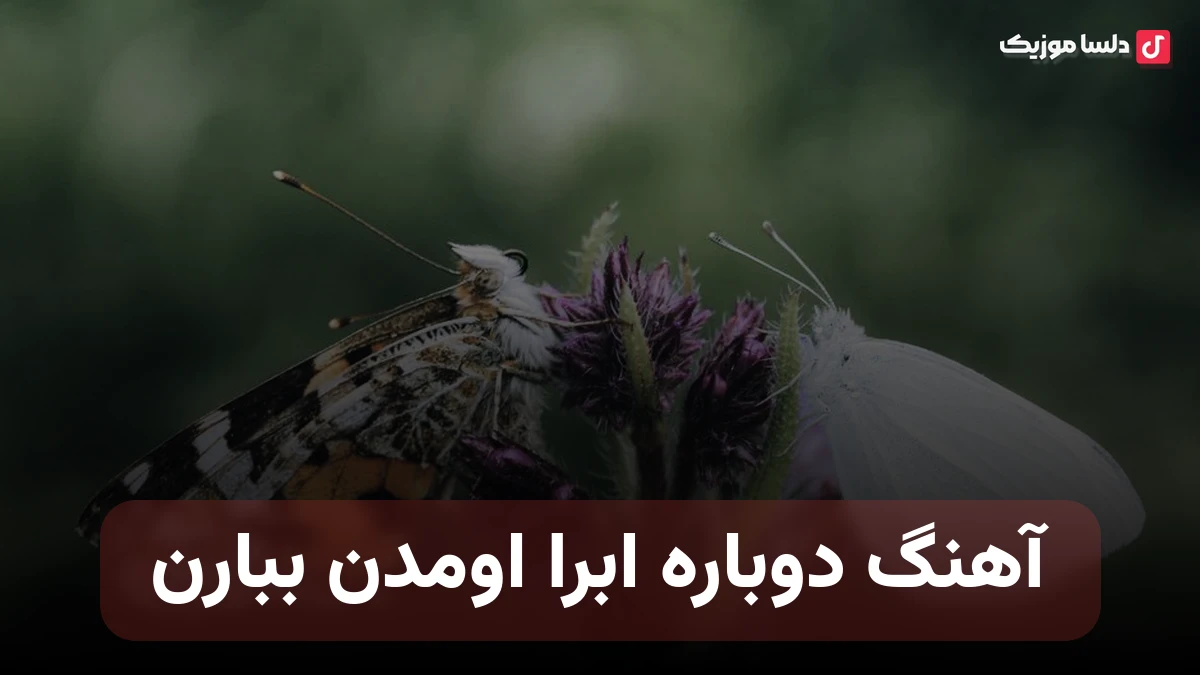 دوباره ابرا اومدن ببارن مثل دل من اونا غصه دارن